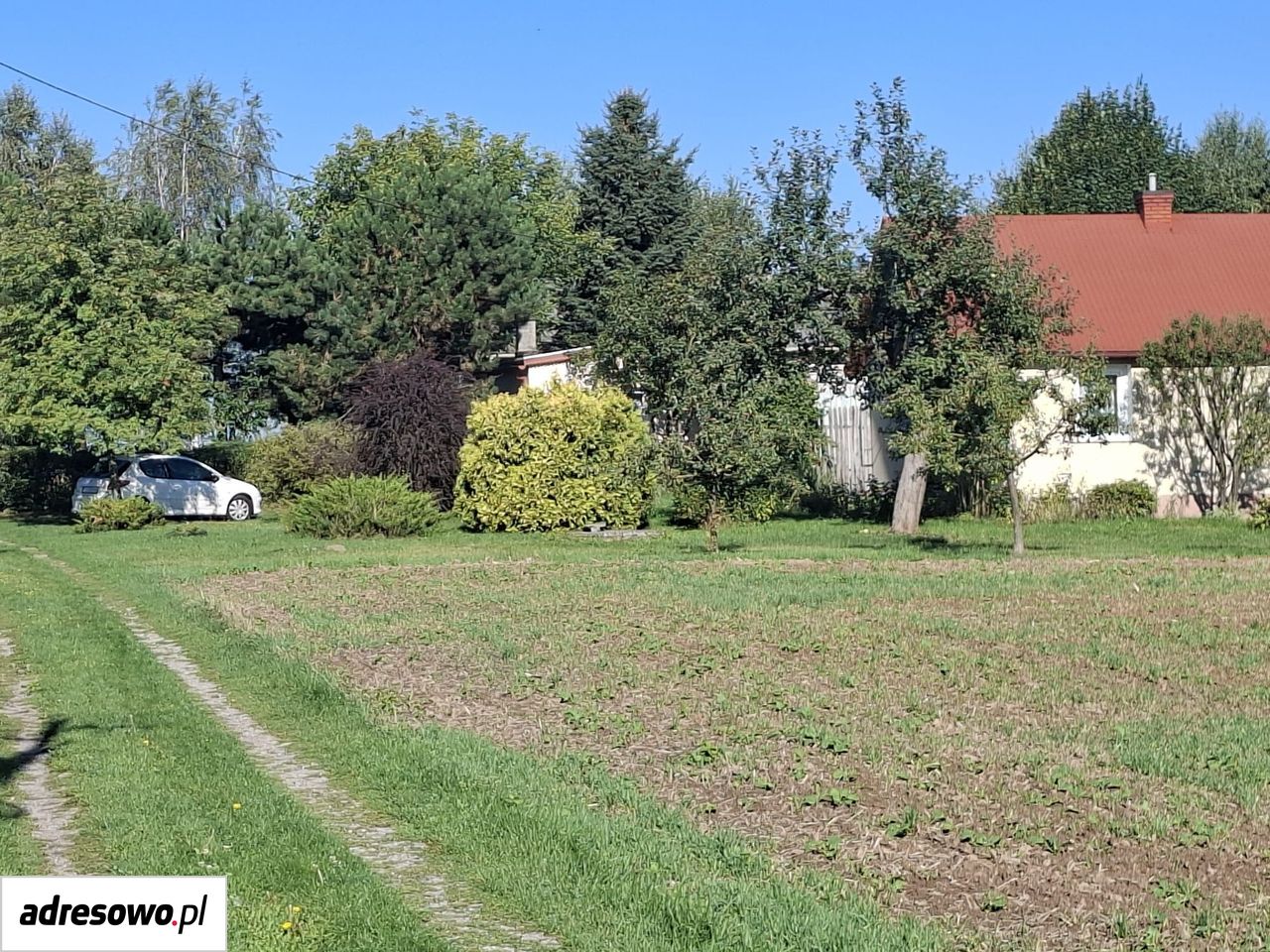 Działka siedliskowa Miłocin. Zdjęcie 1