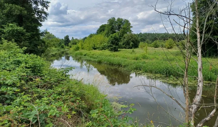 Działka rolno-budowlana Wola Karczewska, ul. Rzeki