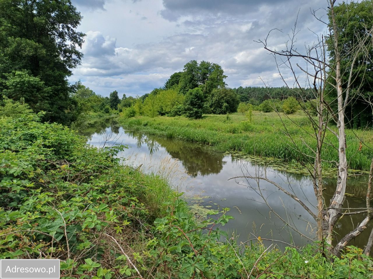 Działka rolno-budowlana Wola Karczewska, ul. Rzeki