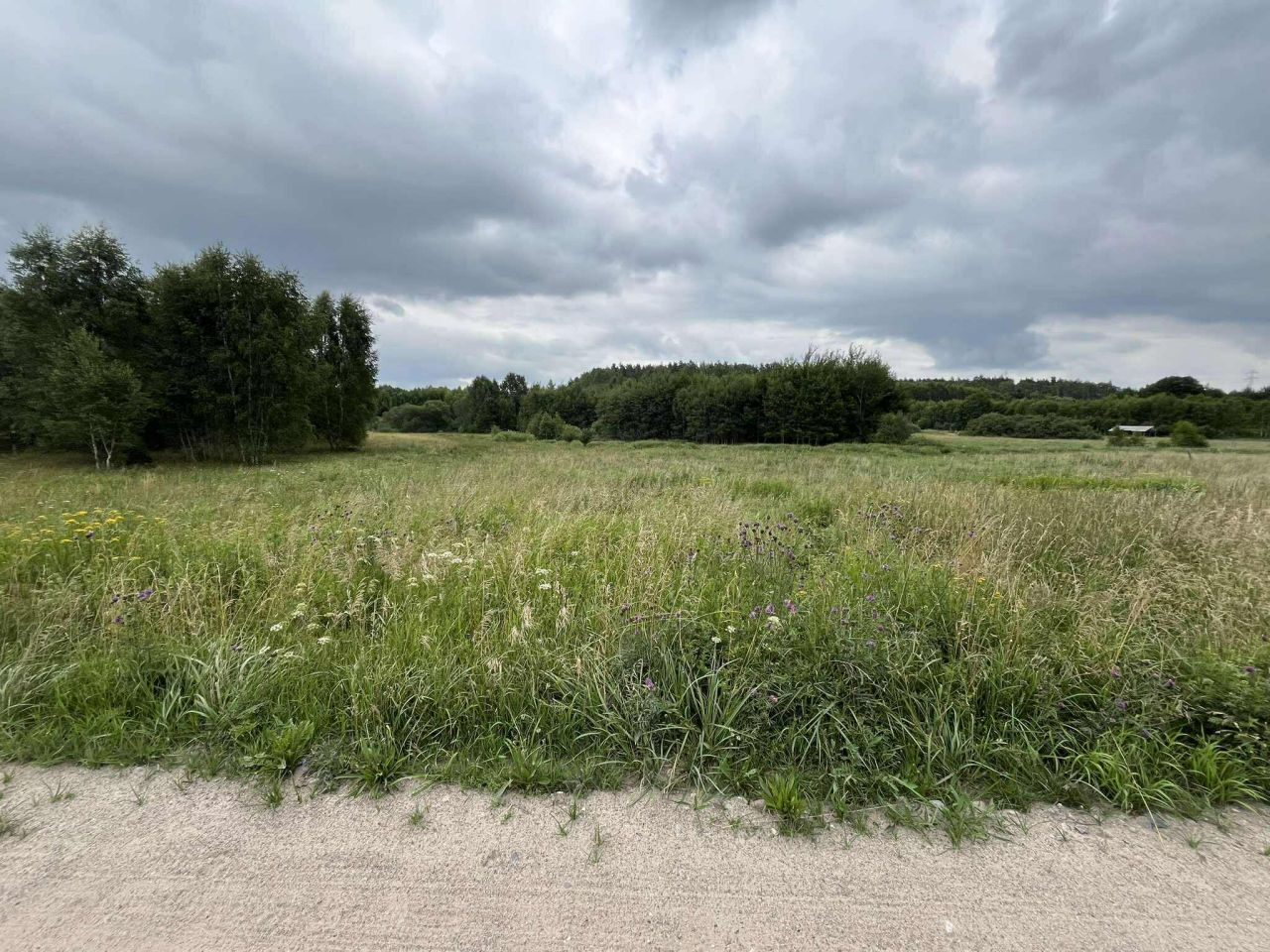 Działka inna Mierzeszyn, ul. Leśna. Zdjęcie 10