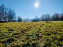 Działka inna Polanica-Zdrój Nowy Wielisław, ul. Graniczna. Zdjęcie 1