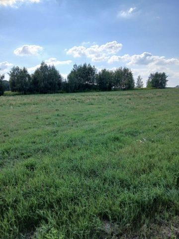 Działka budowlana Niwiski. Zdjęcie 1