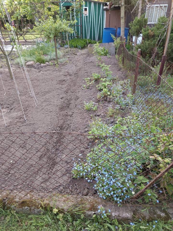 Działka rekreacyjna Nowe Skalmierzyce, Działkowa. Zdjęcie 4