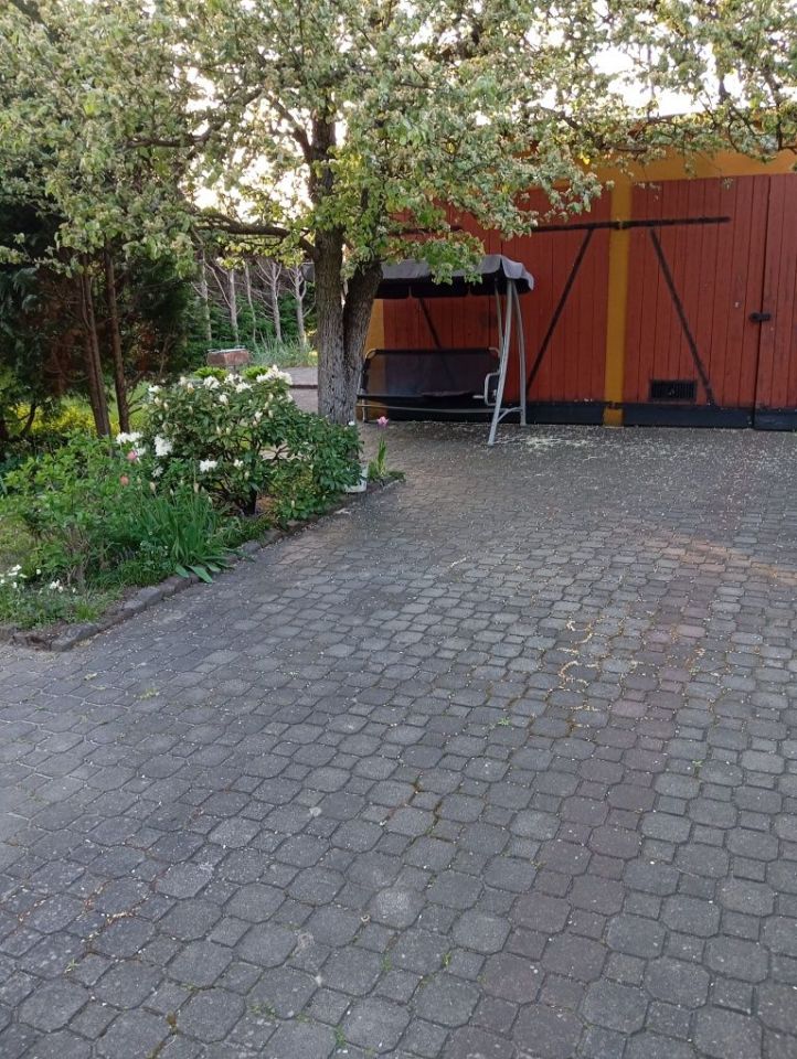 bliźniak Dębno, ul. Grunwaldzka. Zdjęcie 5