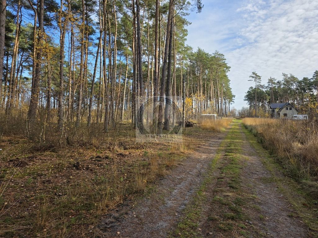 Działka budowlana Dziwnów. Zdjęcie 9