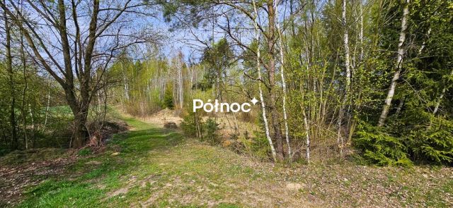 dom wolnostojący, 6 pokoi Kruszyna. Zdjęcie 12
