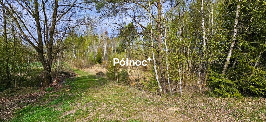 dom wolnostojący, 6 pokoi Kruszyna. Zdjęcie 12