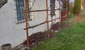 Działka rod Nysa, ul. Jagiellońska