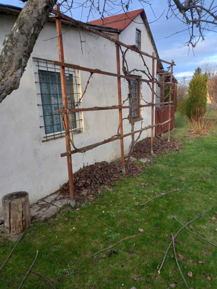 Działka rod Nysa, ul. Jagiellońska. Zdjęcie 2