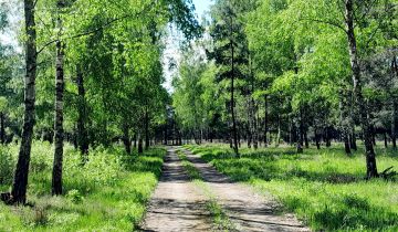 Działka budowlana Szymanówek Biała, al. Agatowa