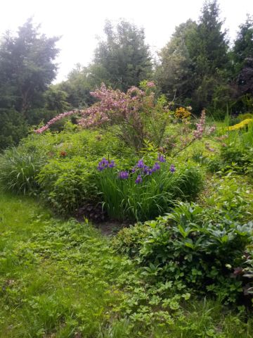 Działka budowlana Życiny. Zdjęcie 1