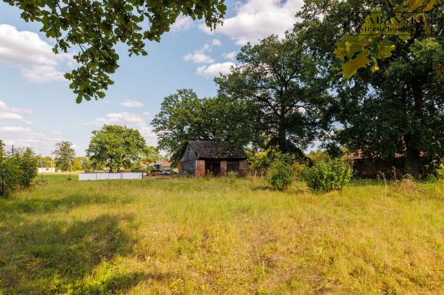 Działka budowlana Dąbrówki Breńskie. Zdjęcie 9