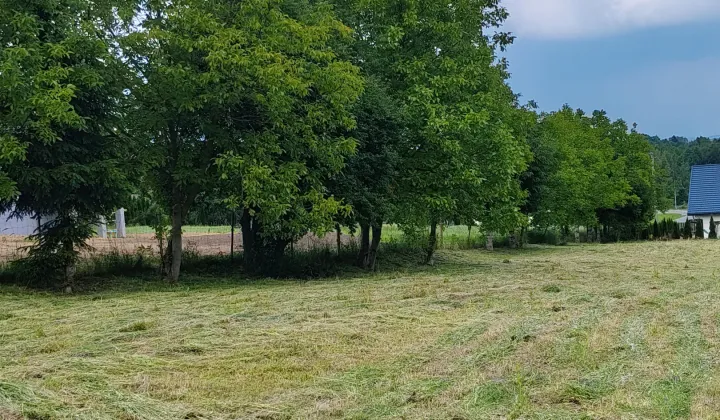 Działka rolno-budowlana Żurawica Zagumnienki Polskie, ul. Kasztanowa