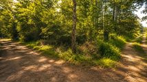 Działka rolno-budowlana Świętochów. Zdjęcie 3