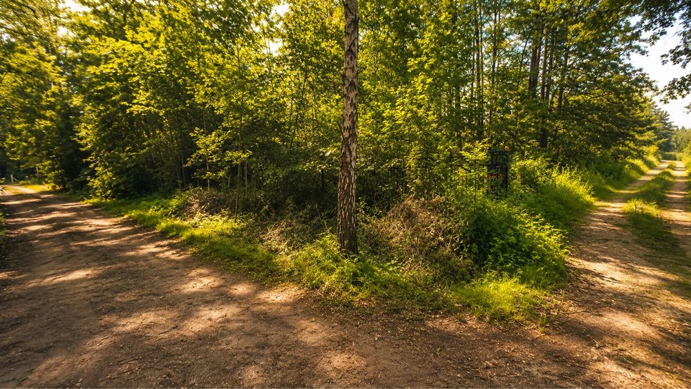 Działka rolno-budowlana Świętochów. Zdjęcie 4