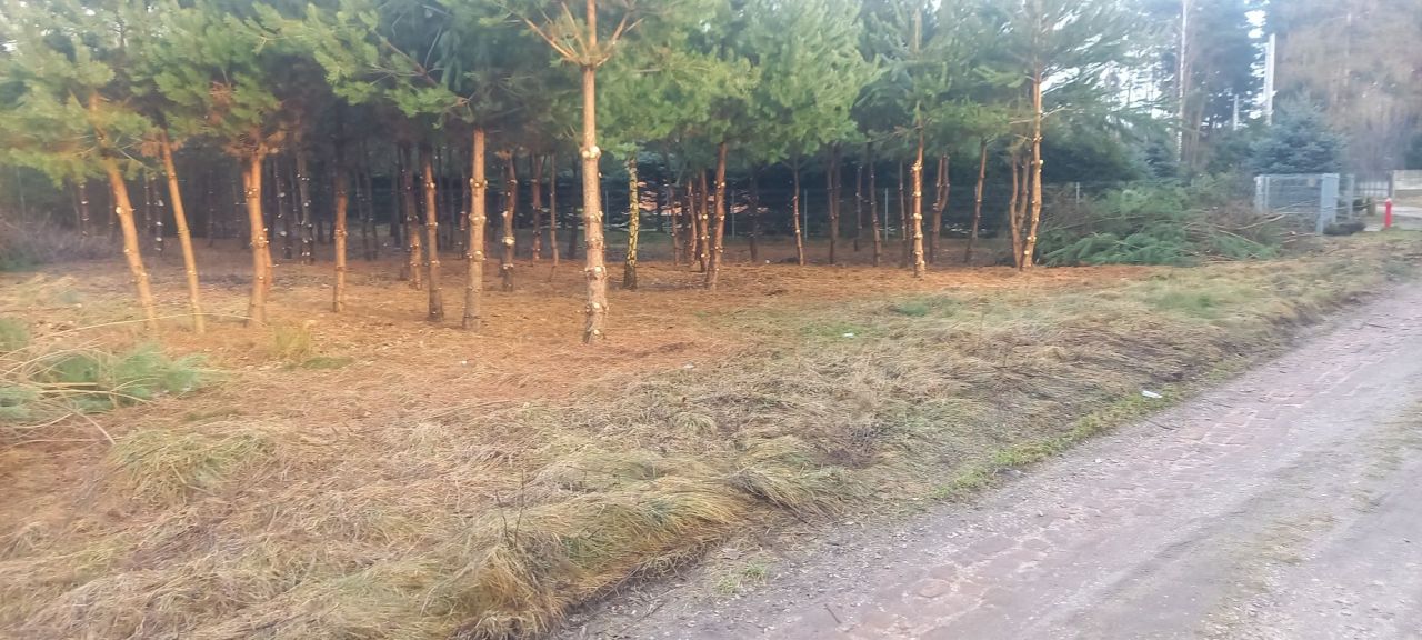 Działka budowlana Niwy. Zdjęcie 1