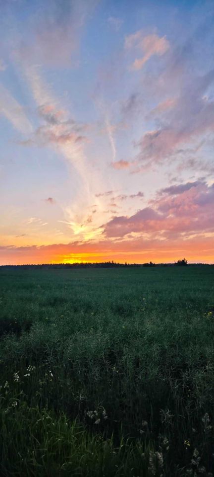 Działka budowlana Barniewice. Zdjęcie 2