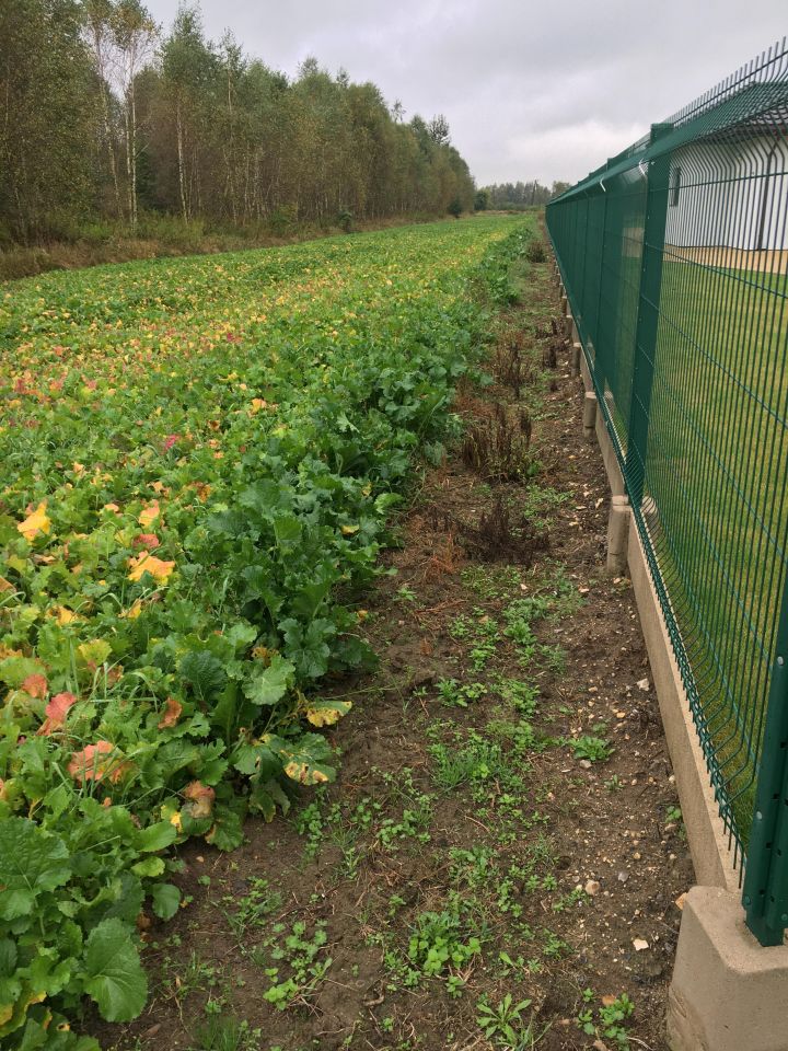 Działka budowlana Topolów, ul. Częstochowska. Zdjęcie 4