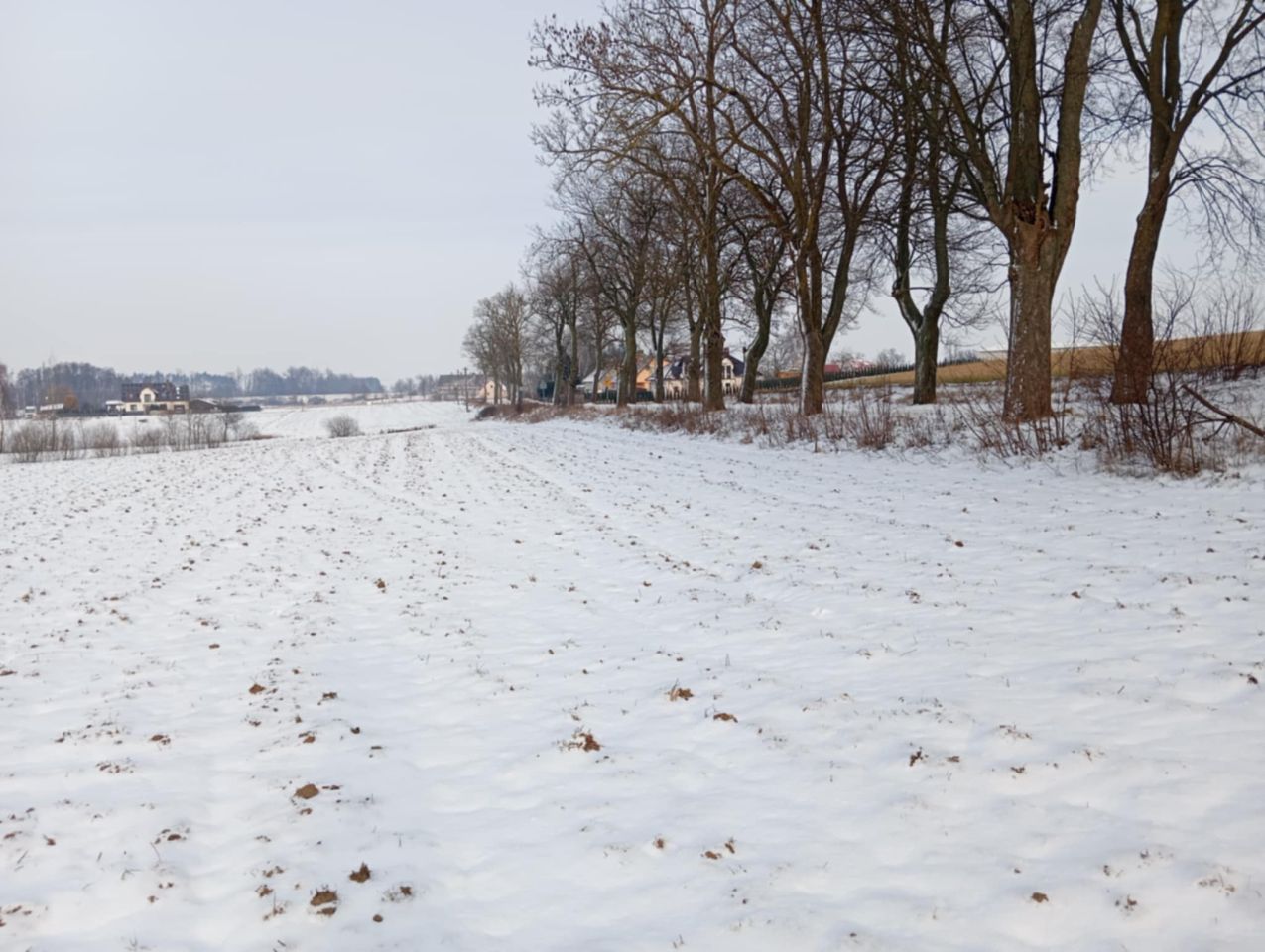 Działka rolno-budowlana Żalno, ul. Dworcowa. Zdjęcie 6