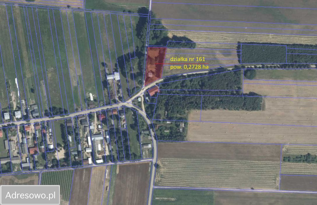 Działka siedliskowa Rzewuszki. Zdjęcie 6