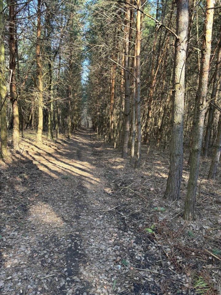 Działka rolna Parszów. Zdjęcie 7