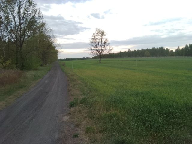 Działka budowlana Zawada Nowa. Zdjęcie 1