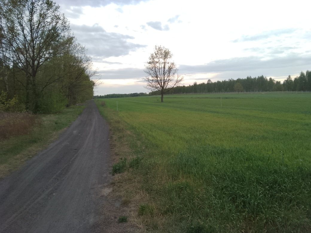 Działka budowlana Zawada Nowa. Zdjęcie 1