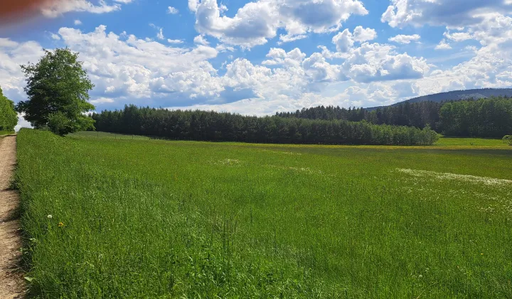 Działka leśna Brunary Jaszkowa