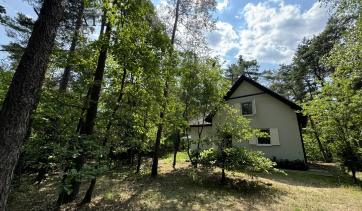 dom wolnostojący, 8 pokoi Wilga