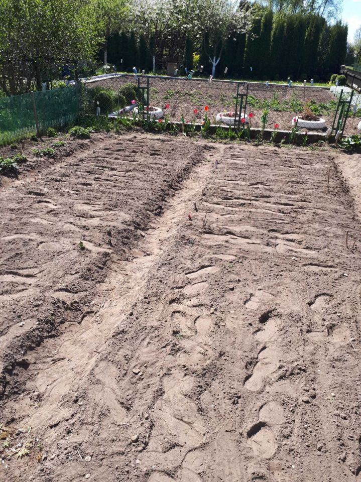 Działka rod Mońki. Zdjęcie 2