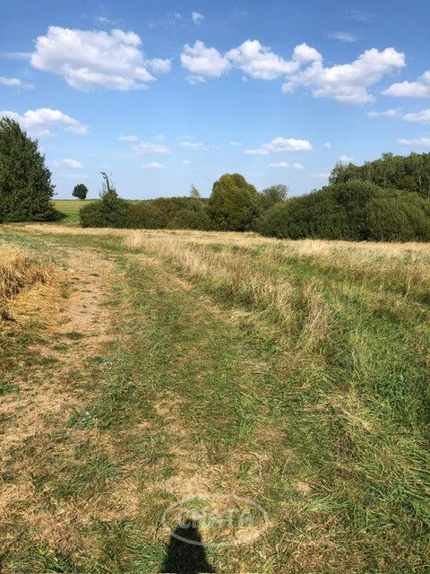 Działka rolna Huta Wielka. Zdjęcie 5