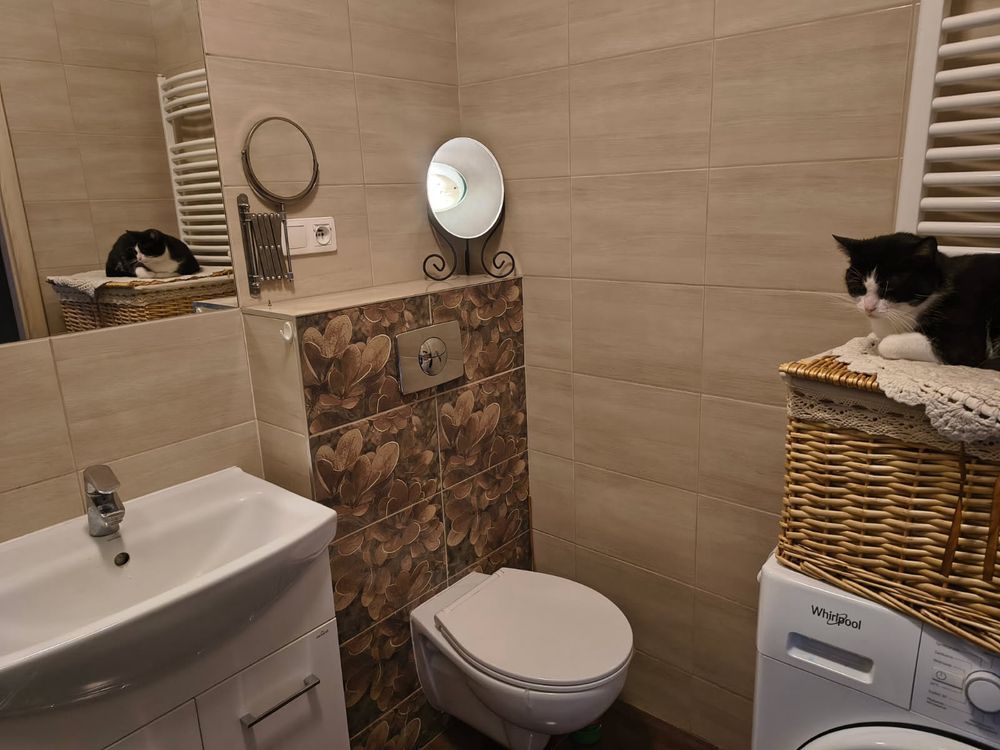 Mieszkanie 2-pokojowe Oleśnica. Zdjęcie 8