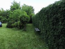 Działka rod Słomin, Wierzbowa 2. Zdjęcie 4