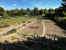 Działka rod Nakło nad Notecią. Zdjęcie 4