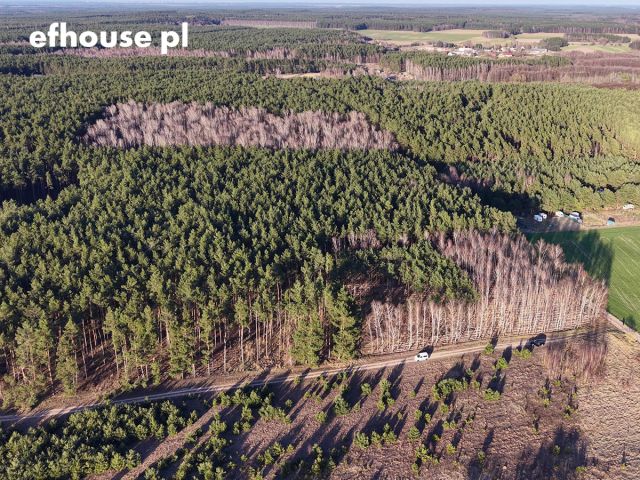 Działka budowlana Wąsosz. Zdjęcie 15