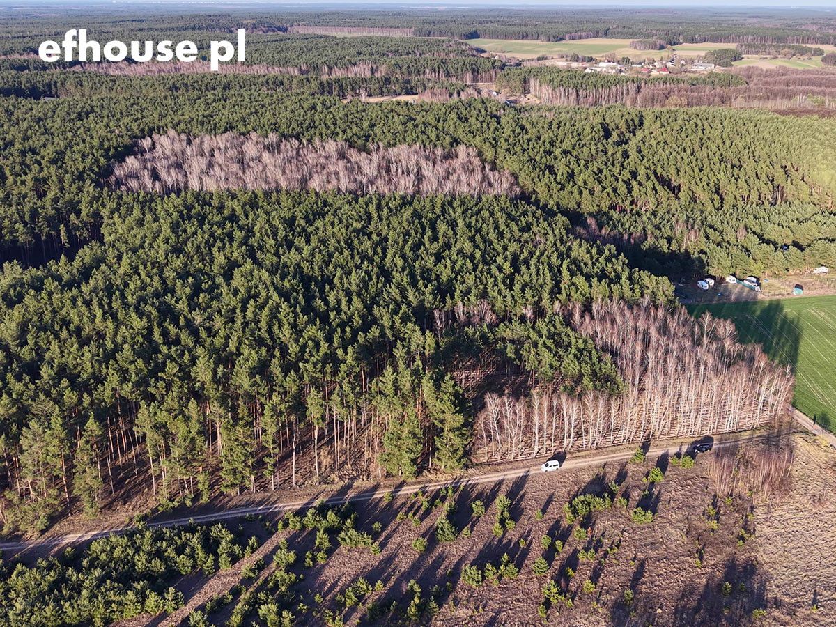 Działka budowlana Wąsosz. Zdjęcie 15