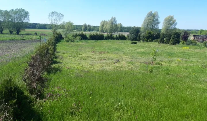 Działka rolno-budowlana Staw