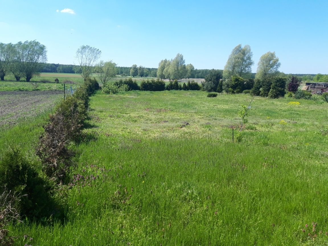 Działka rolno-budowlana Staw. Zdjęcie 1