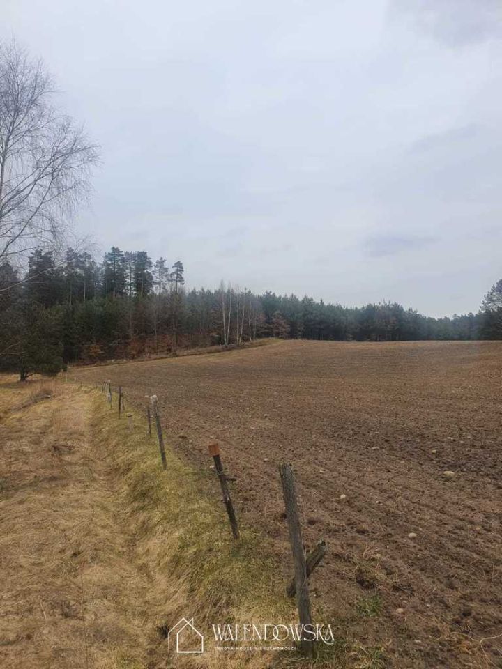 Działka rolna Gardna Wielka. Zdjęcie 3