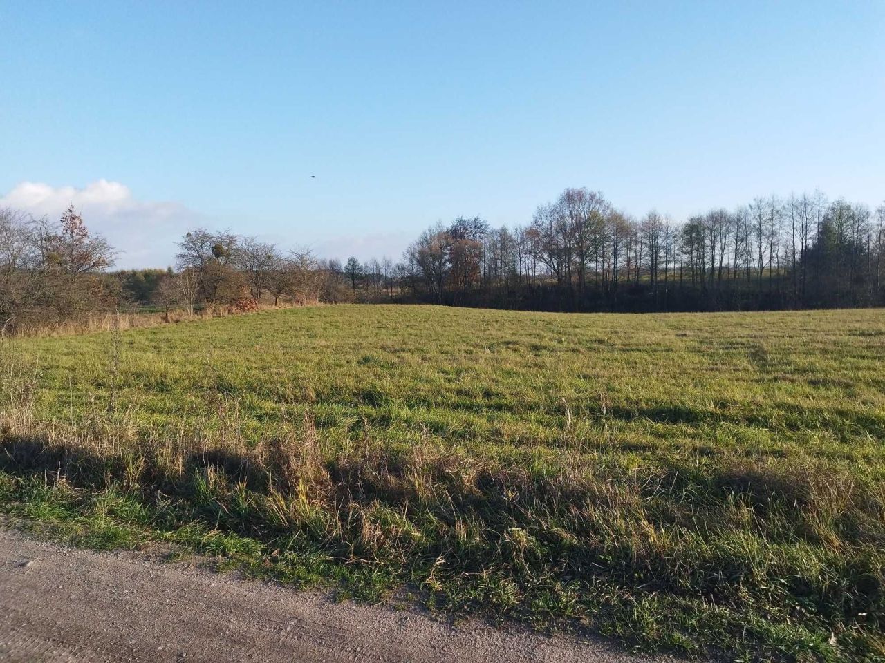 Działka budowlana Kiersztanowo. Zdjęcie 6