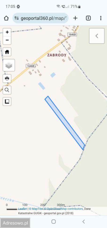 Działka rolna Olchówka Zabrody. Zdjęcie 3