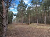 Działka rekreacyjna Szczawin. Zdjęcie 3