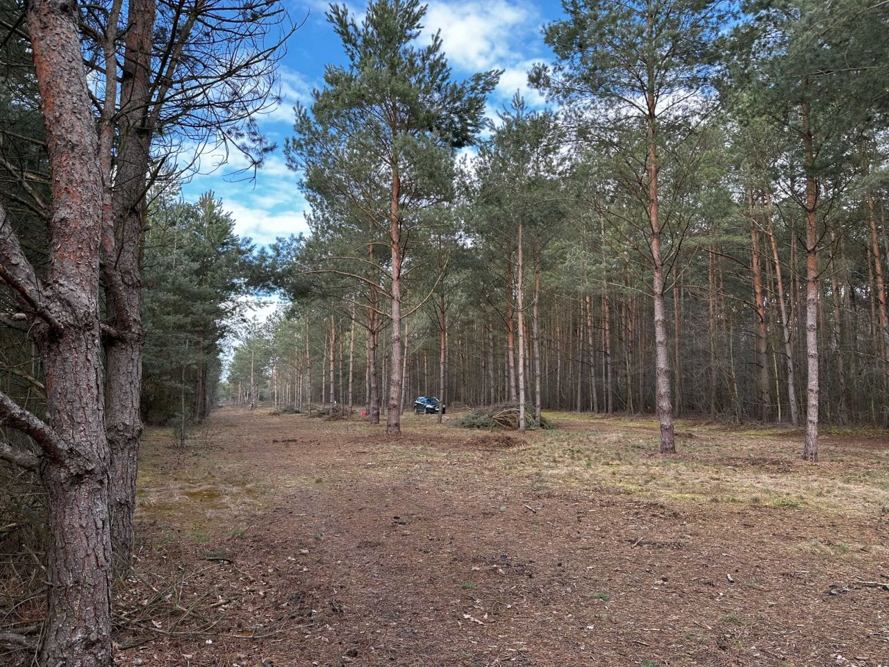 Działka rekreacyjna Szczawin. Zdjęcie 4