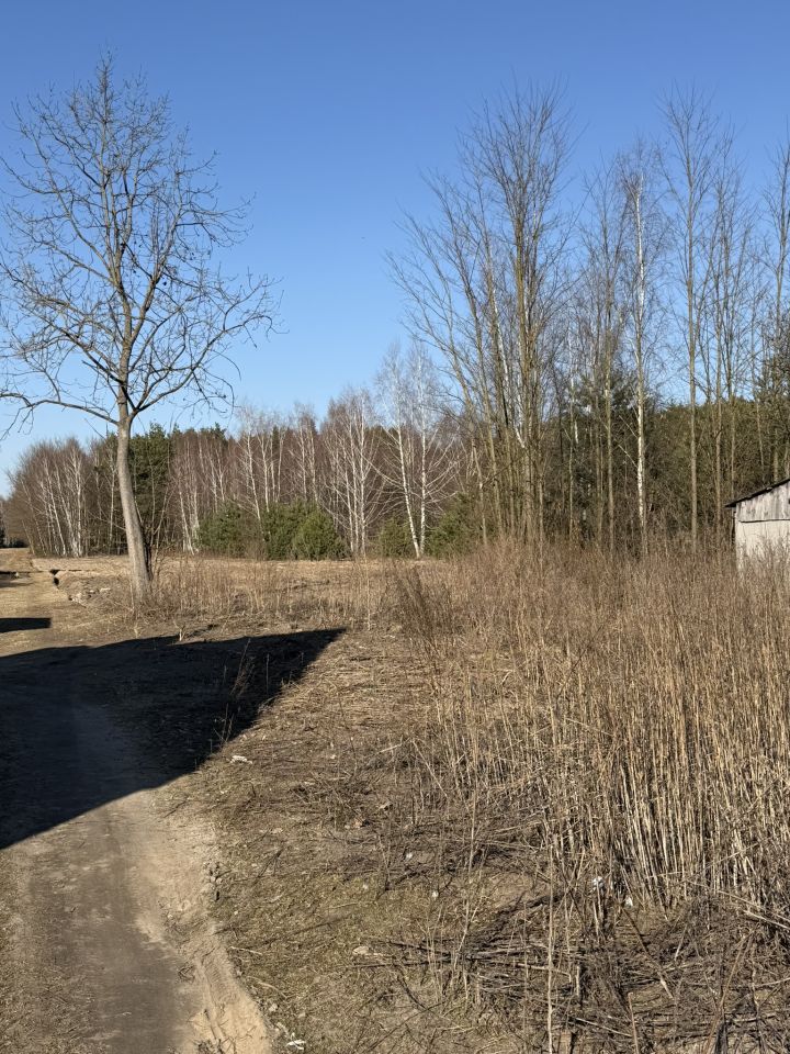 Działka rolno-budowlana Lipiny Dolne Kawęczyna, Lipiny Dolne. Zdjęcie 2