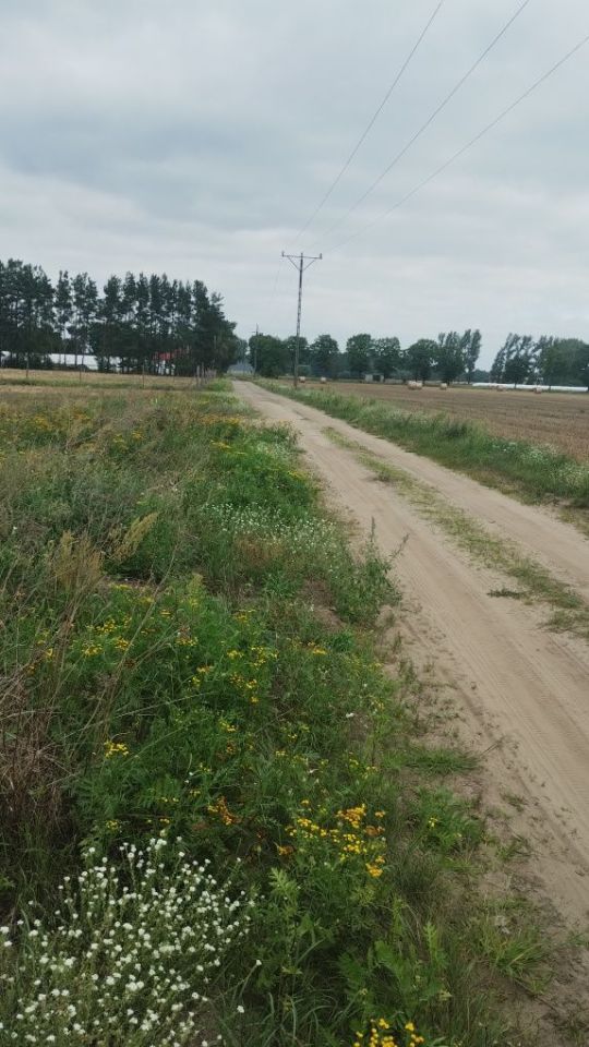 Działka budowlana Borek. Zdjęcie 3