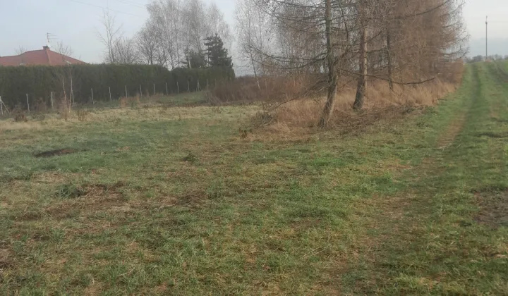 Działka rolno-budowlana Tomaszowice-Kolonia