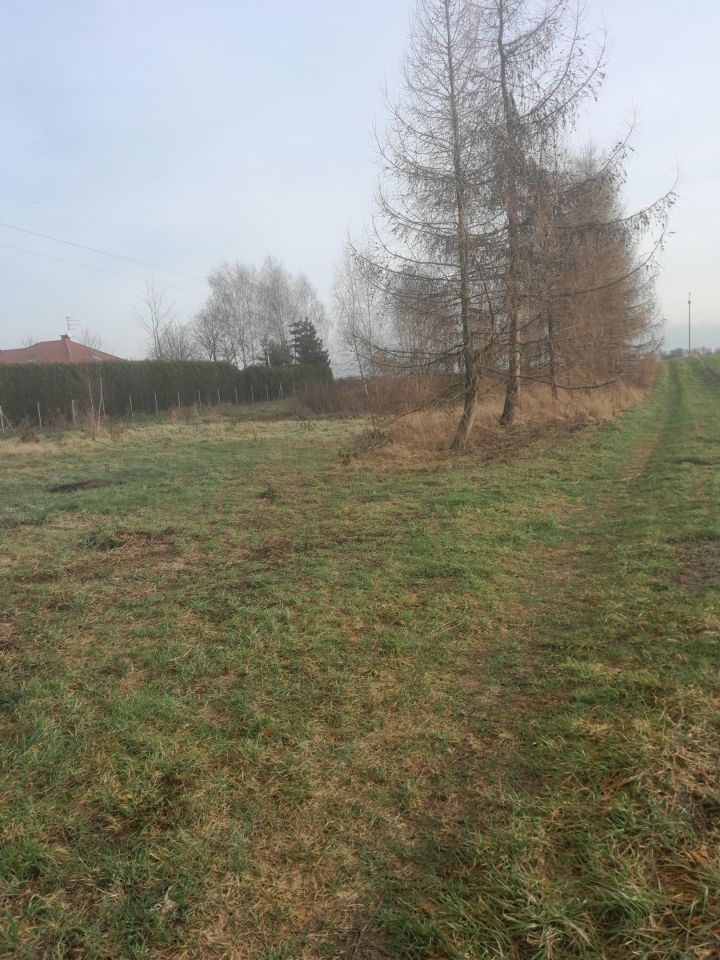 Działka rolna Tomaszowice-Kolonia. Zdjęcie 1