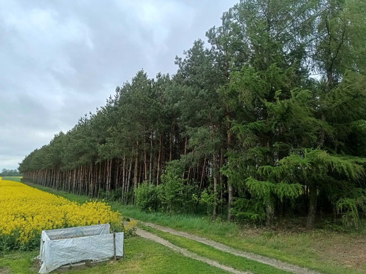 gospodarstwo Ostrów Krupski. Zdjęcie 7