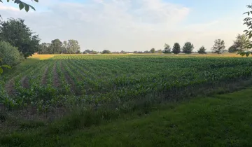 Działka na sprzedaż bez pośredników 
 
 Krupy 
 
 Węgrzce Wielkie - Widok 5