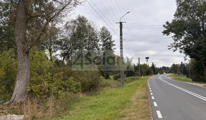 Działka budowlana Wilków Polski